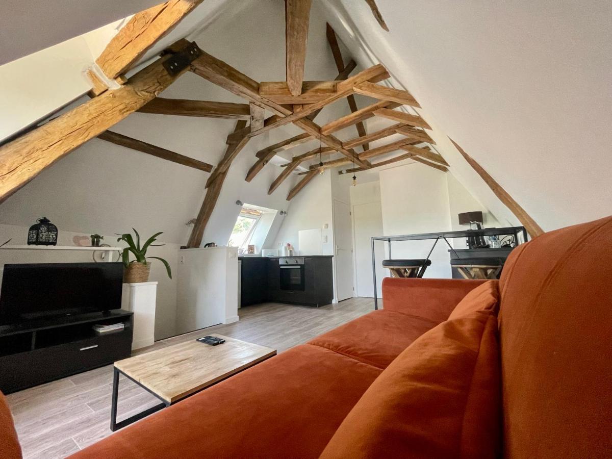 סנסר Appartement Cosy Vue Sur Le Vignoble מראה חיצוני תמונה
