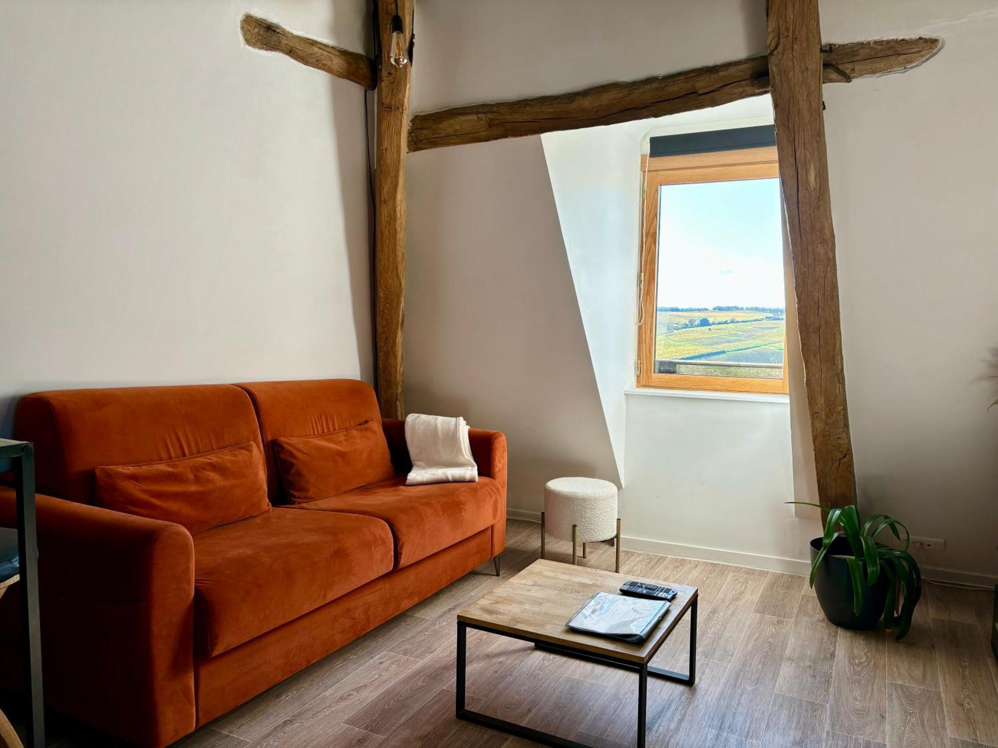 סנסר Appartement Cosy Vue Sur Le Vignoble מראה חיצוני תמונה